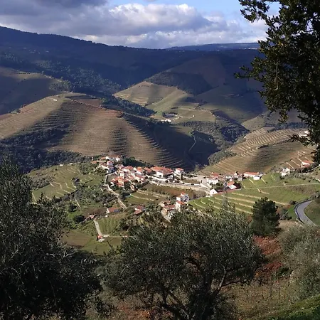 Quinta Da Lua Douro Valley Vale de Mendiz