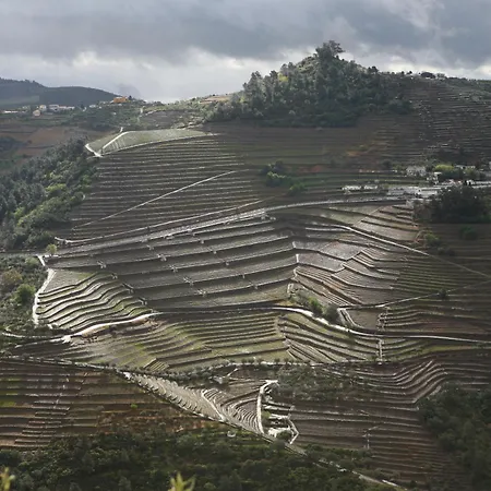 Quinta Da Lua Douro Valley Vale de Mendiz
