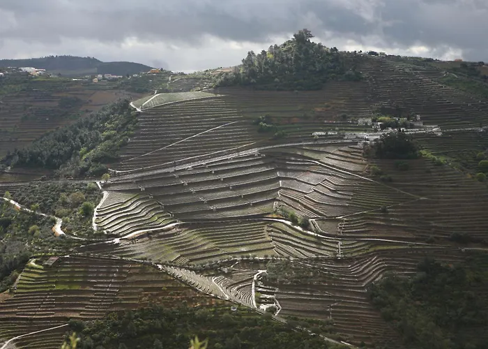 Quinta Da Lua Douro Valley 벨데멘디츠