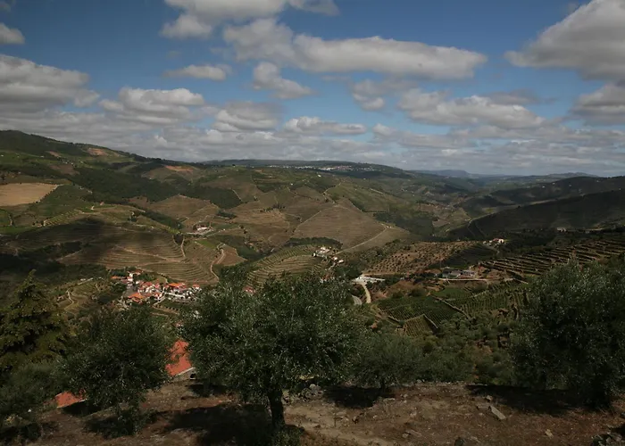 Quinta Da Lua Douro Valley 벨데멘디츠